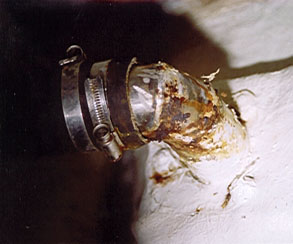 IslandGyp40-5.JPG (21510 bytes)