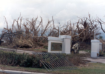 Desolation of the Aftermath - Hurricane Andrew