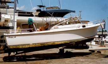 Shamrock 26