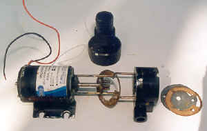 Mascerator pump